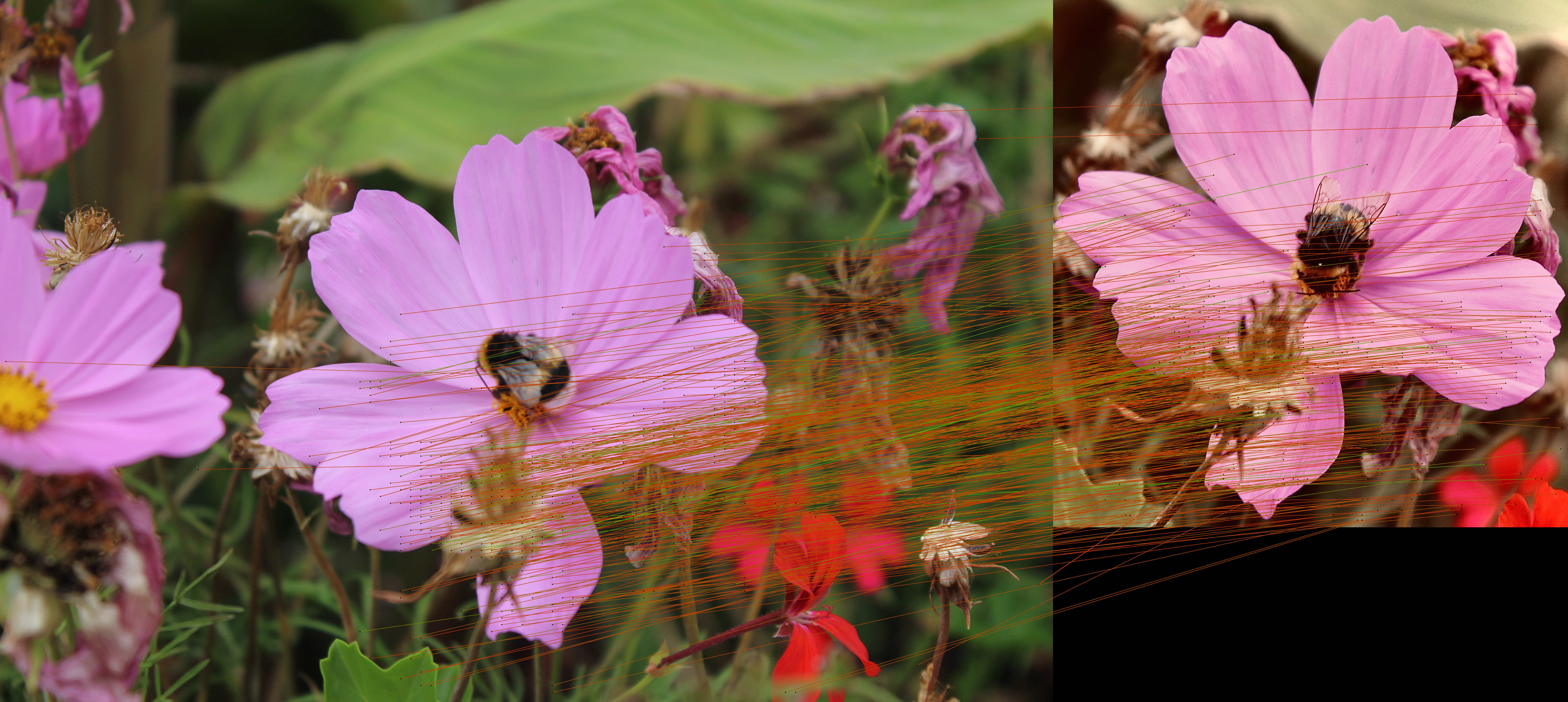 Matched Image
