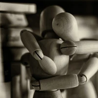 zhaoyu sun's profile picture