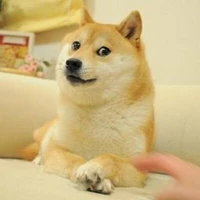 Ngô Quang Minh's profile picture