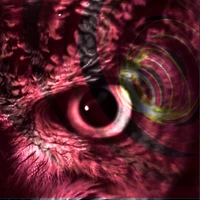 Kingsfield Lawfare's profile picture