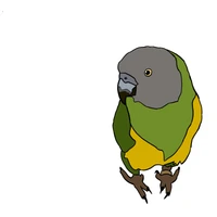 Sagi Polaczek's profile picture