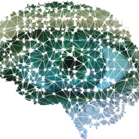 Bioinformatics & Machine Learning Lab's profile picture