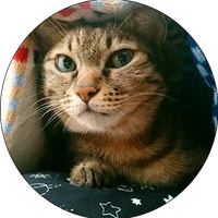 swy's profile picture