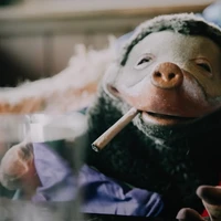 Tim van Dam's profile picture