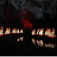 tool's profile picture
