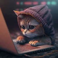 Minh-Nam Tran's profile picture