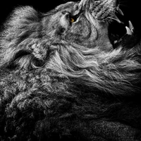 Pranav Gupta's profile picture