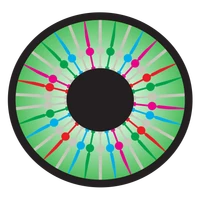 OpenRetina's profile picture
