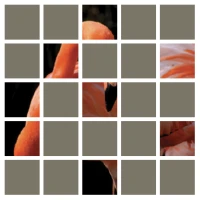 Kaiming's group's profile picture