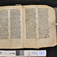 Ethiopic AI's profile picture
