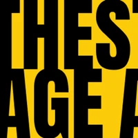 TheStageAI