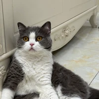 wyh's profile picture