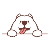 HENG FANG's profile picture