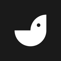 ai-coustics's profile picture