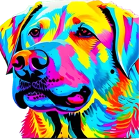 Safe2O's profile picture