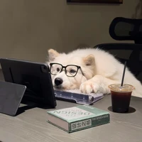 Haikong Lu's profile picture
