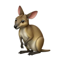 Jean-François Guerrero's profile picture