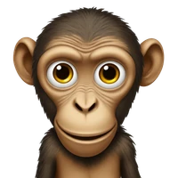 Benzi's profile picture