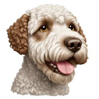 Mick's profile picture
