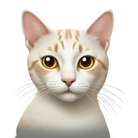 Zhan Shi's profile picture