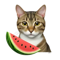 Tiya Ti's profile picture