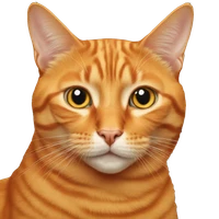 joezie's profile picture