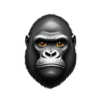 Leo Vano's profile picture