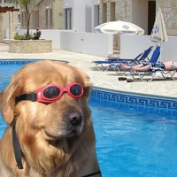 Nicholas Sommer's profile picture