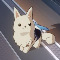 Nitchakarn S.'s profile picture